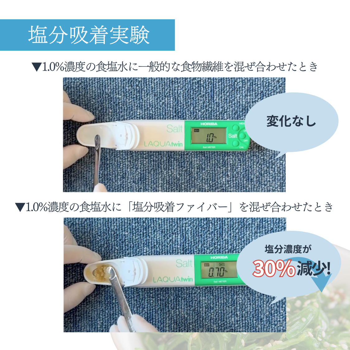 塩分吸着実験
