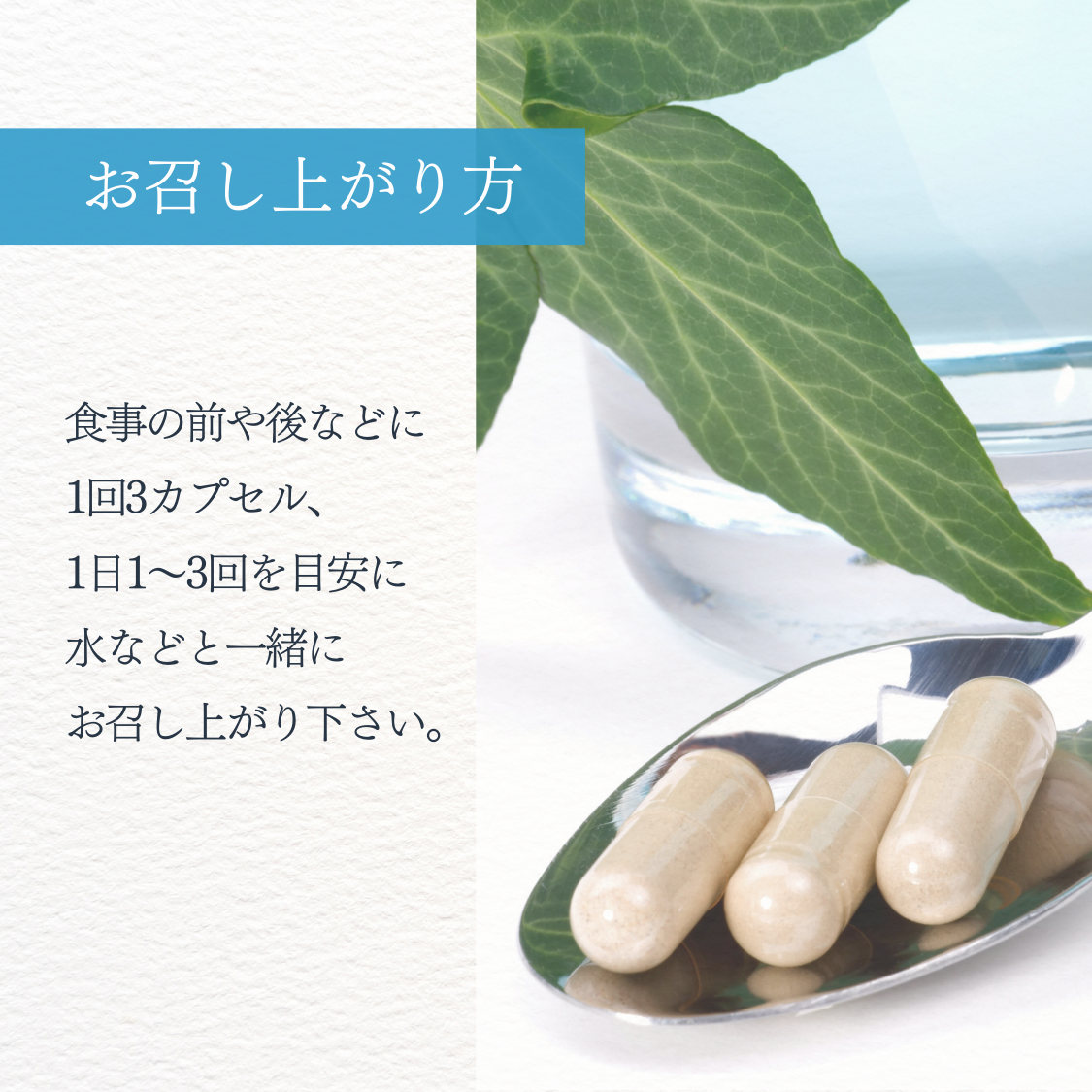 お召し上がり方