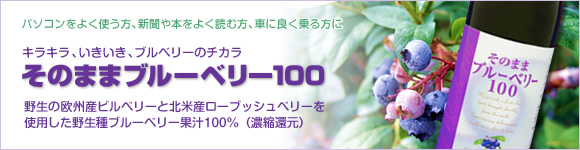 そのままブルーベリー100